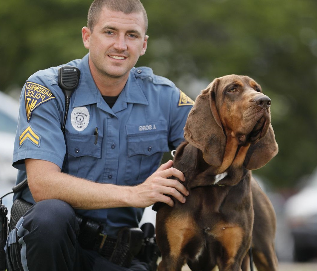 Ras Anjing Yang Sering Di Manfaatkan Kepolisian